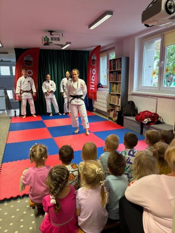 judo
