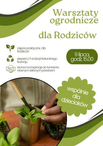 ogród 